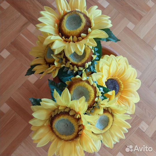 Интерьерные цветы 