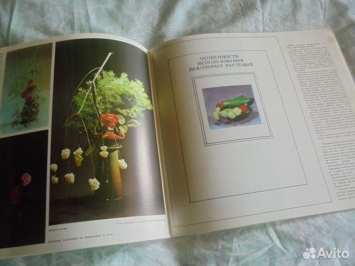 Икэбана Н.П.Николаенко Ташкент 1988 г