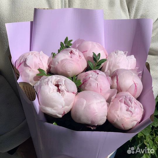 Пионы 9 15 25 51 101 пион с доставкой Букеты Цветы