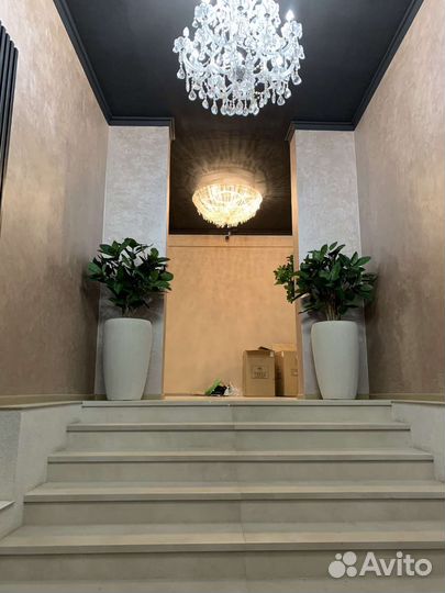 Озеленение ресторана / озеленение потолка