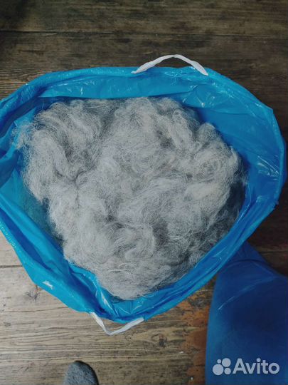 Шерсть не битая