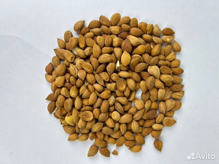 Абрикосовая косточка