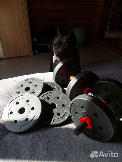 Набор гантелей разборный с грифом как у штанги