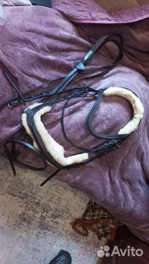 Конная амуниция и экипировка для верховой езды