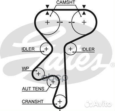 5461XS ремень грм 171x240 Opel Omega B/Vectra
