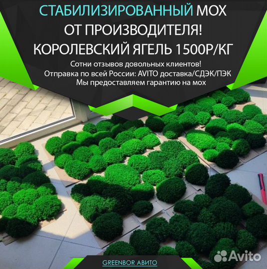 Стабилизированный мох ягель кочками