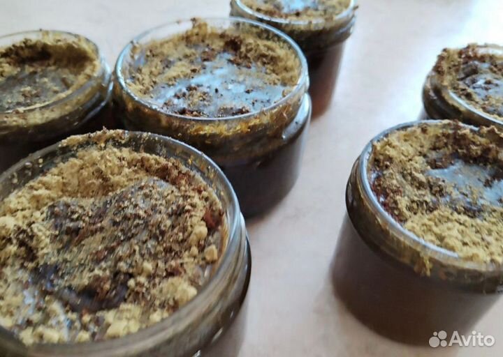 Сбор от папиллом медовый