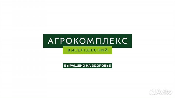 Старший ветеринарный врач