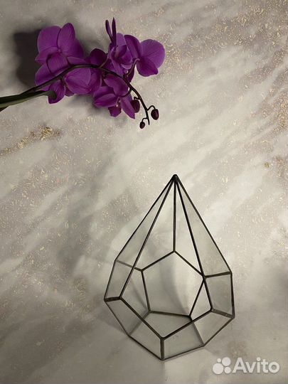 Формы, флорариум