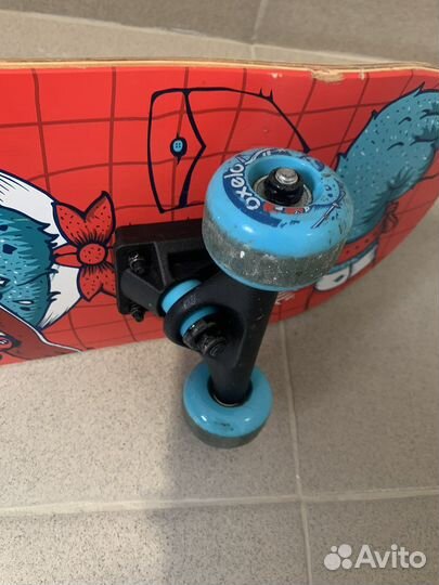 Скейтборд play 3 bear oxelo