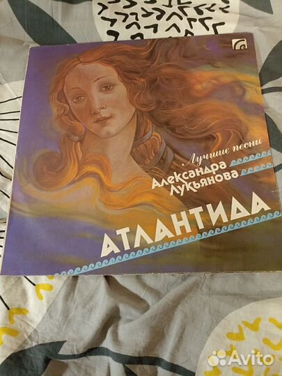 Виниловая пластинка