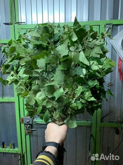 Веники банные