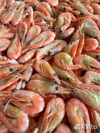 Креветки северные 250+