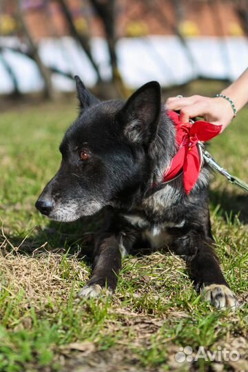 Старушка Наоми из приюта