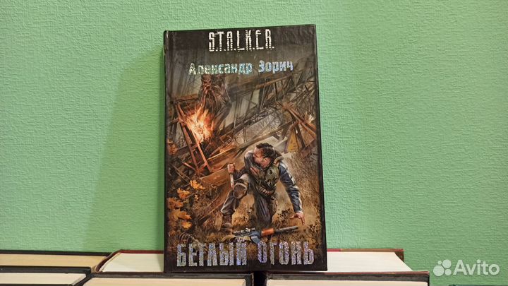 Книга Сталкер 