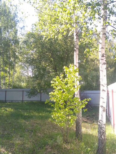 Участок 8 сот. (СНТ, ДНП)