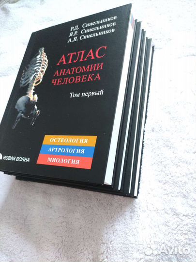 Атлас анатомии человека синельников в 4х томах