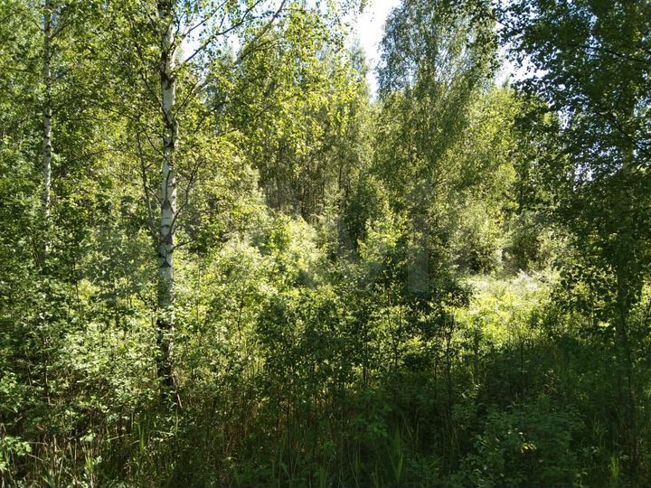 Участок 14,5 сот. (СНТ, ДНП)