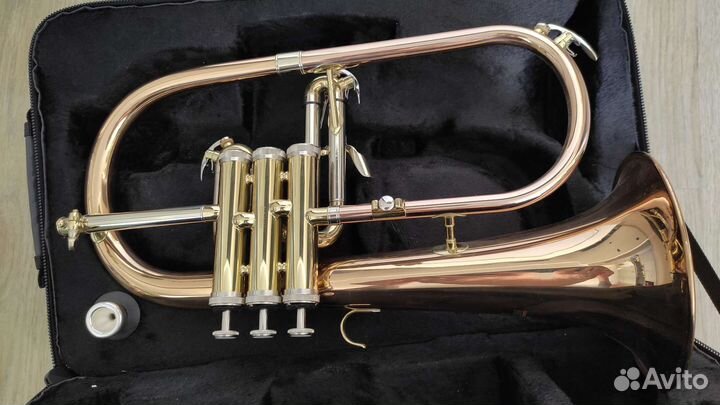 Флюгельгорн Roy Benson FH-302G