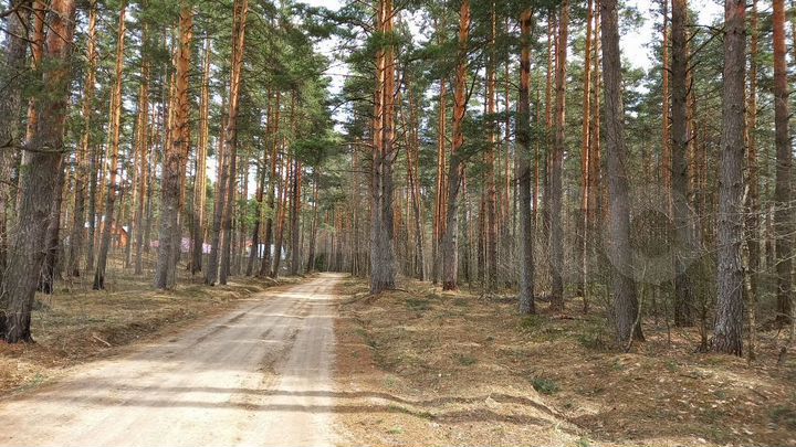 Участок 15 сот. (ИЖС)