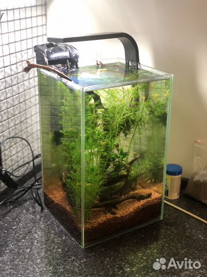 Аквариум 15 литров размером 20-22-35 см