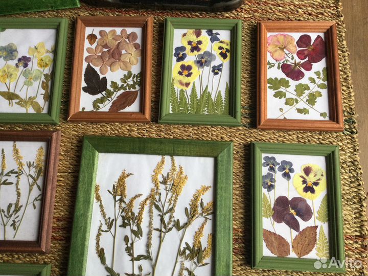 Ботанические панно из сухоцветов в рамках