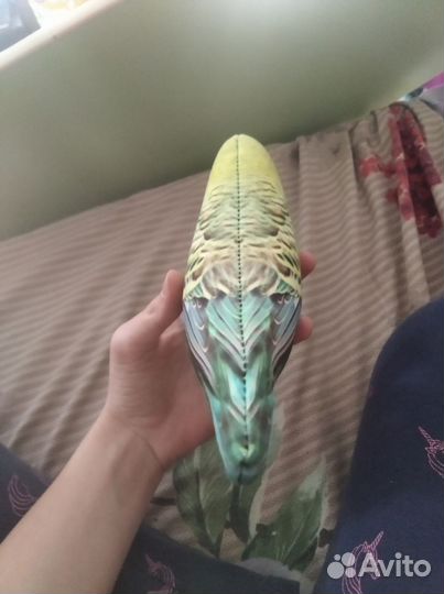 Игрушка мягкая антистресс