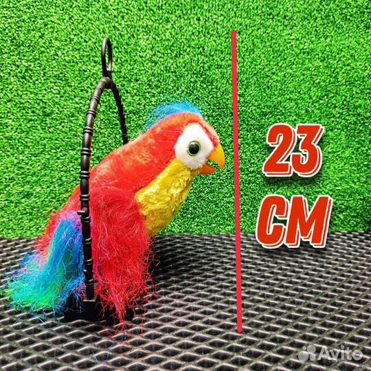 Попугай повторюшка