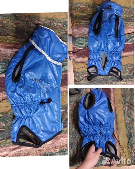 Одежда для собак, подстилки, шнурок