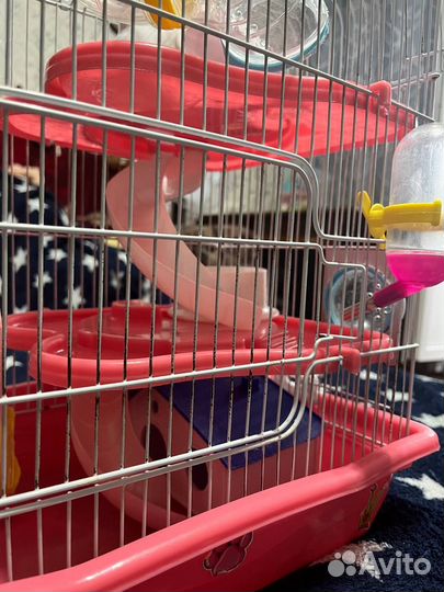 Клетка для грызунов большая