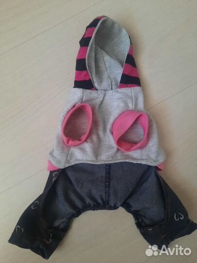 Одежда для собак мелких пород той терьер