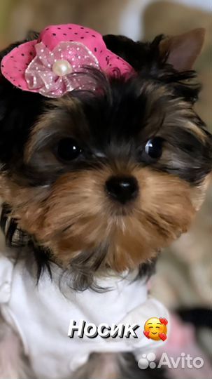 Кукольная мини девочка