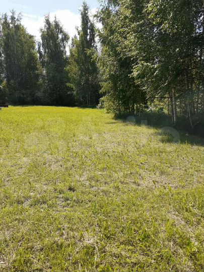 Участок 11 сот. (СНТ, ДНП)