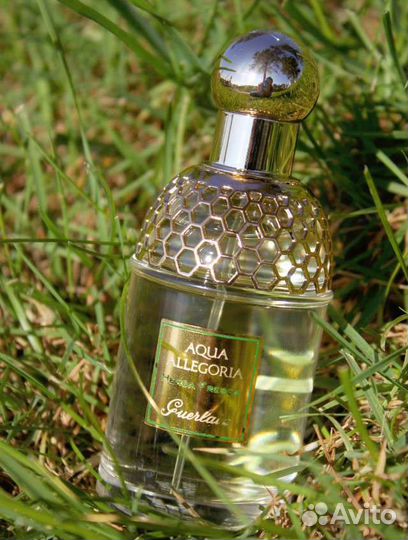 Парфюм guerlain Aqua Allegoria Herba Fresca