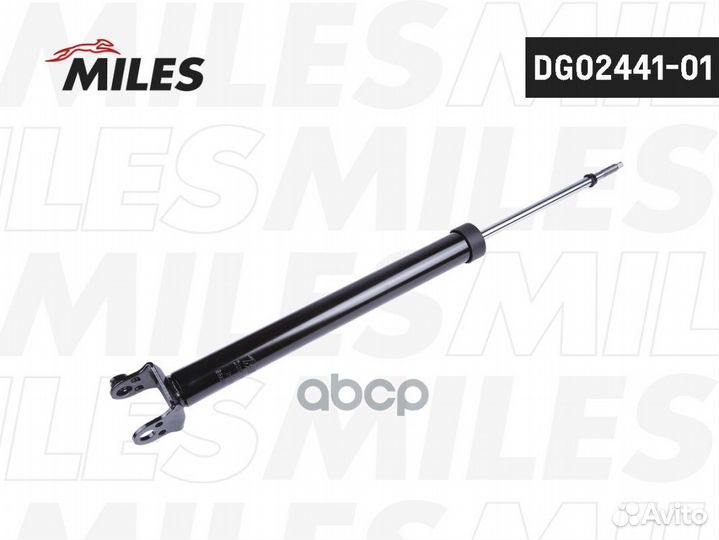 DG02441-01 DG02441-01 Miles