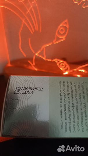 Кошачья мята