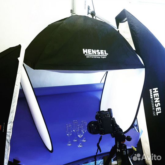 Импульсный свет Hensel Pro 500 Plus