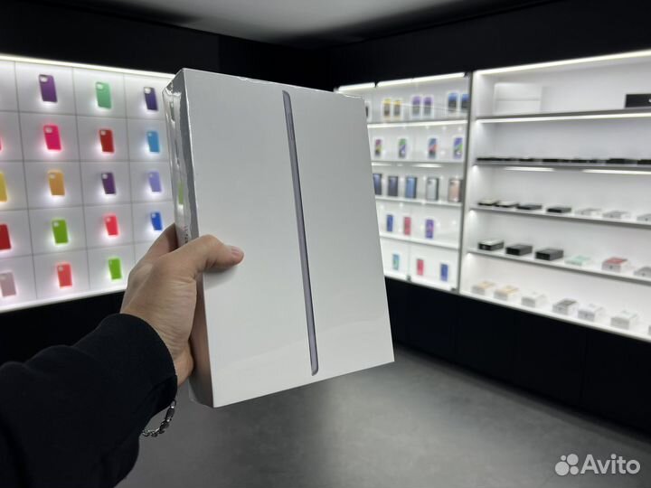 iPad (9th Generation),256GB,Wi-Fi