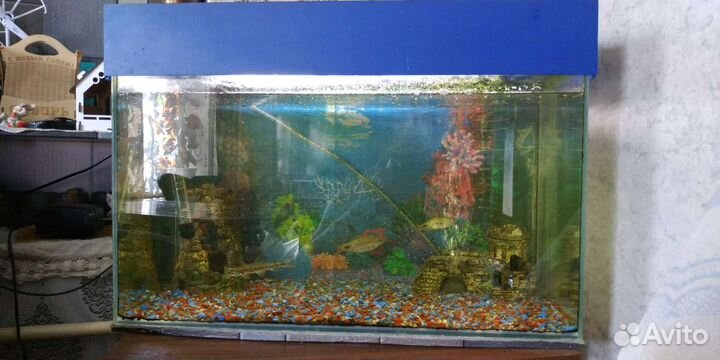 Аквариум