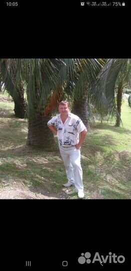 Заместитель руководителя