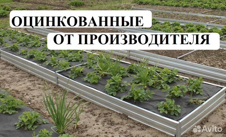 Грядки