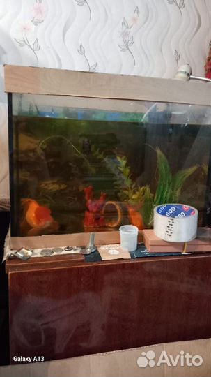 Аквариум с рыбками