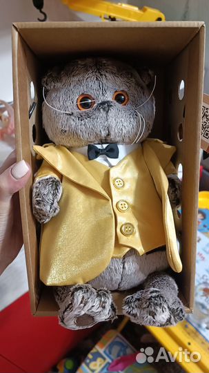 Коты басики