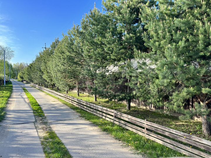 Участок 15,5 сот. (ИЖС)