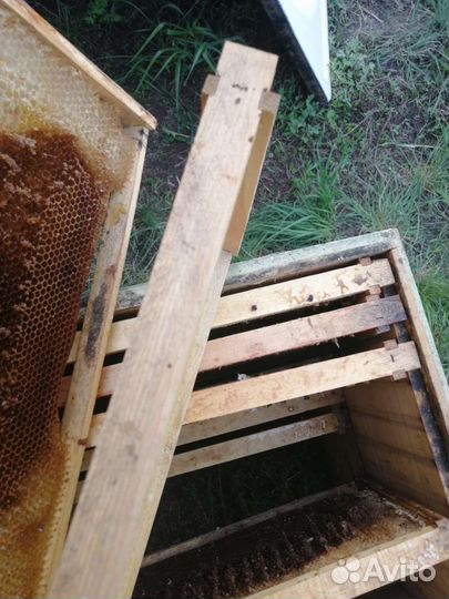 Рамки с сушью, сушь