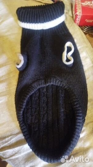 Одежда для собак