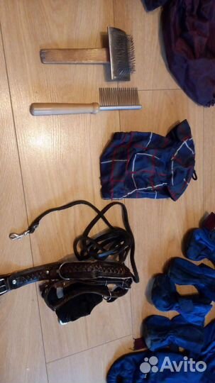 Комбинезоны и принадлежности для собак