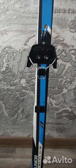 Беговые лыжи