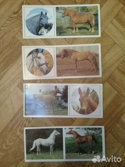 Открытки 78-89 гг