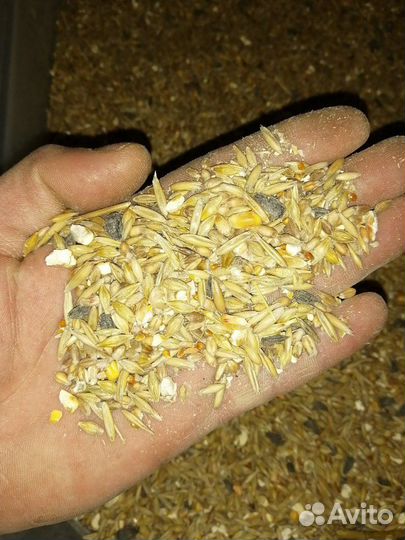 Зерносмесь